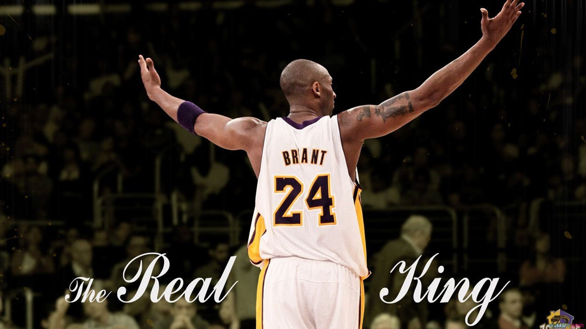 史上最激烈的“冠军争夺战”现场回放，冠军争霸赛是什么意思